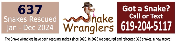 632 Snakes Recued Jan-Nov. 2024